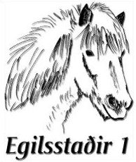 Islandpferde-Farm Egilsstaðir 1